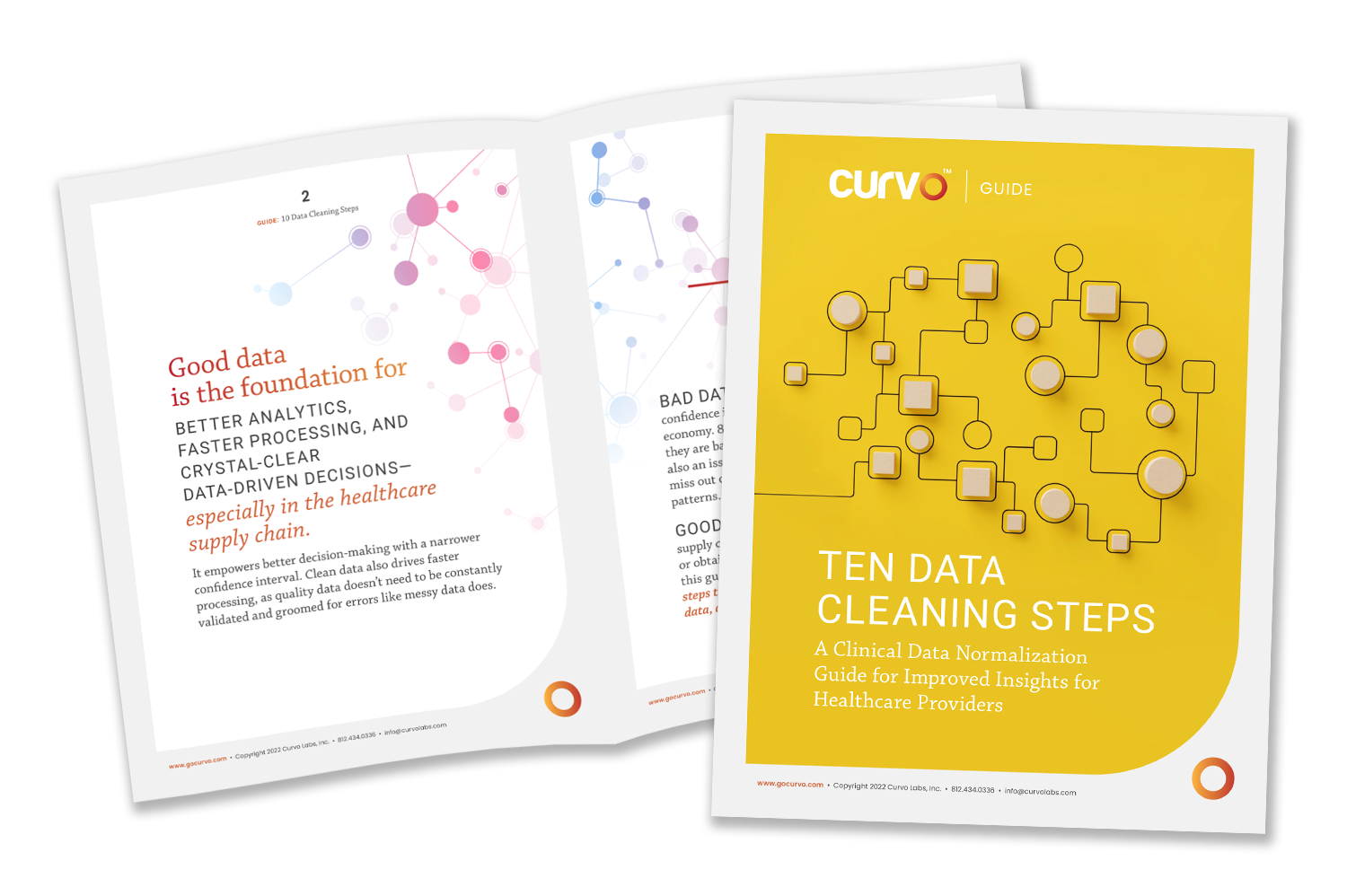 Whitepaper: 10 Data Cleaning Steps